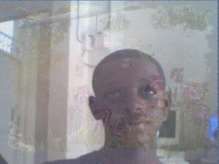 dimodix
